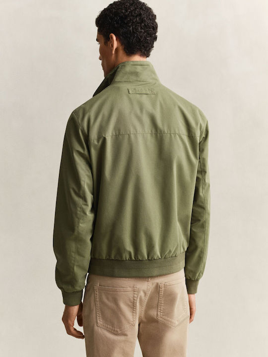 Hampshire Μπουφάν Bomber Green