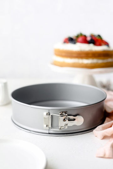 Patisse Non-stick Inox Cake Baking Pan with Removable Bottom Spring 20x20cm