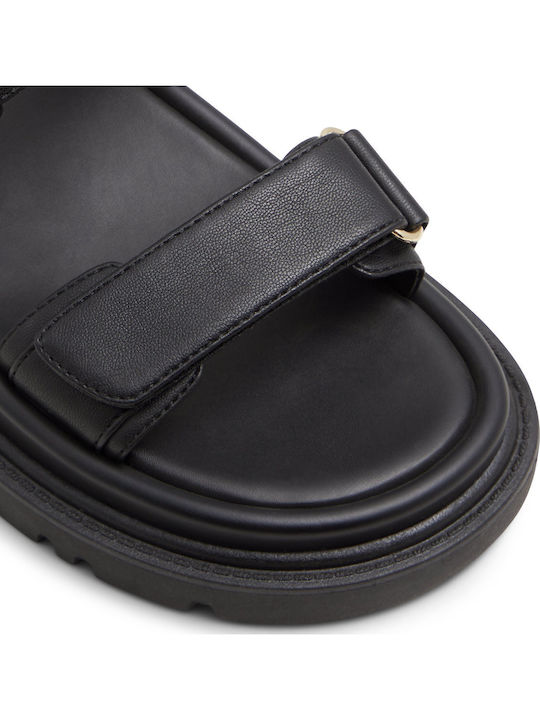 Aldo
