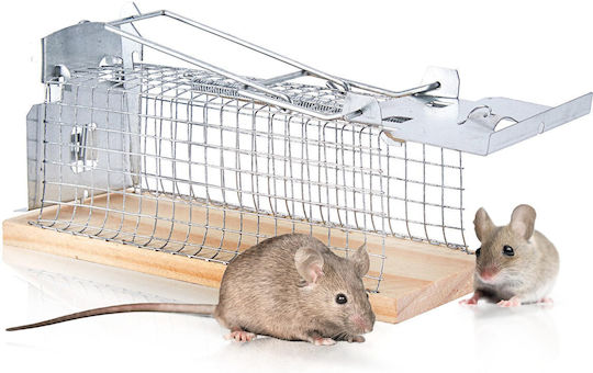 Swissinno Cage made of Metal 15x6x7cm 1584001 1pcs