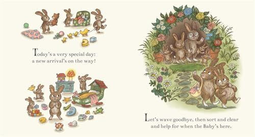 Brown Bear Wood: New Baby Bunny: 100 Newborn Things To Spot