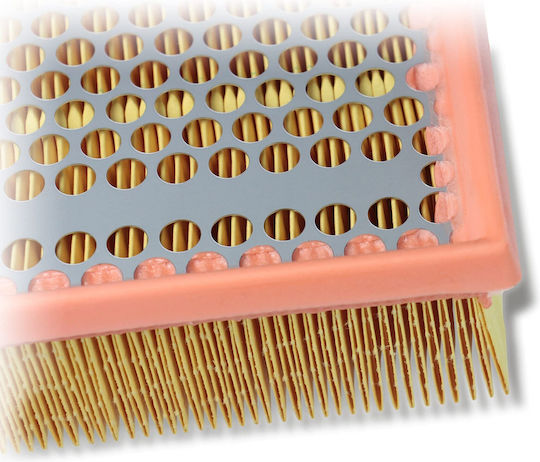 Mann-filter Air Filter C 33 189/1