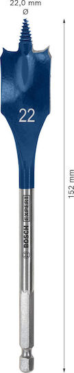 Bosch Expert Тρυпан 22mm