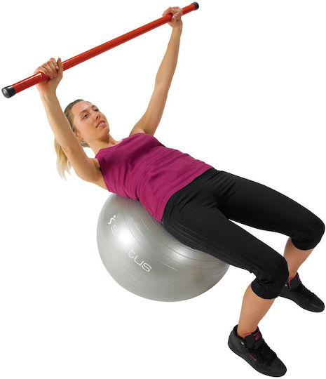Sveltus Gymball Ball Pilates 75cm in Purple Color