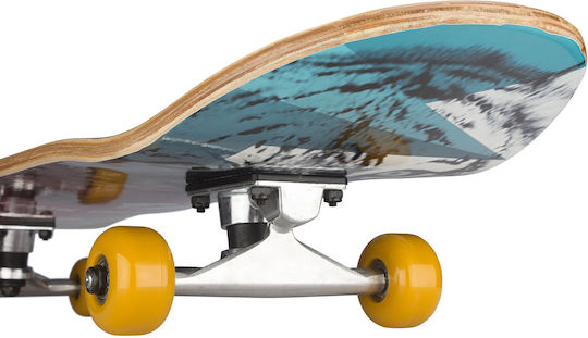 Black Dragon Skateboard Street Natives Complete Shortboard 7.87" Multicolour