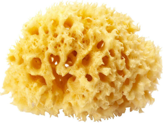OK Baby Baby Bath Sponge Arxipelago Yellow