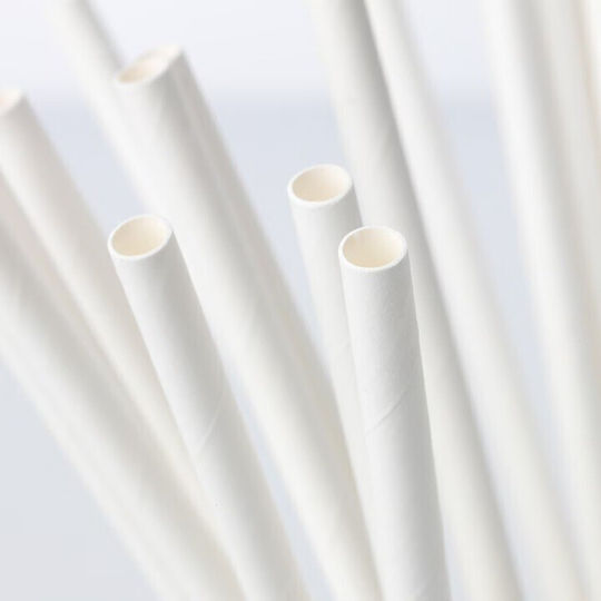 Set 100 Strohhalme Alista Home Papier 20 Cm Einfarbig Weiß