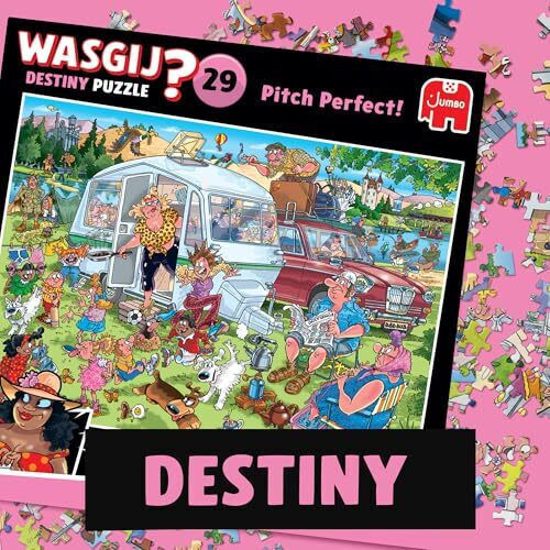 Destiny Puzzle 2D 1000pcs