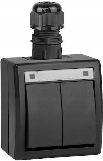 Elektro Plast Waterproof Recessed Wall Switch Double Black