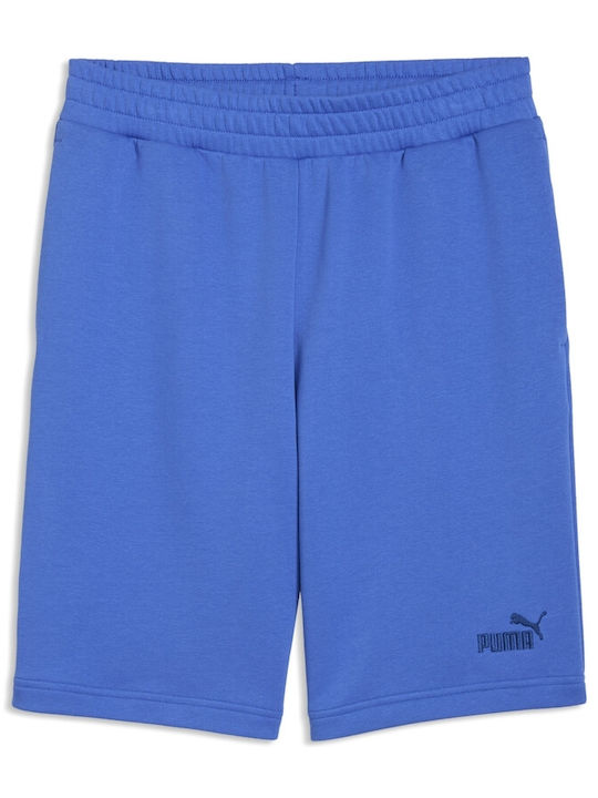 Ess Herren Shorts Blau