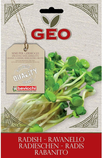 Ρεπάνι Raphanus Sativus Φύτρα 30γρ Geo