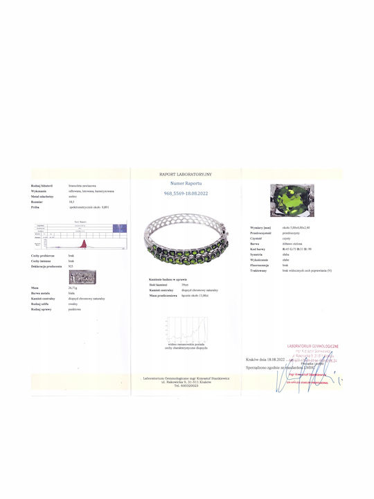 Silberarmband Chromdiopsid Zertifikat