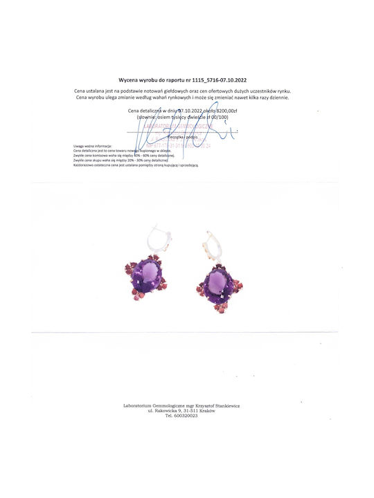 49ct Amethyst Rhodolite Earrings Certificate