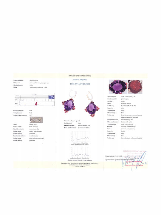 Cercei Cu Ametist Rhodolite 49ct Certificat