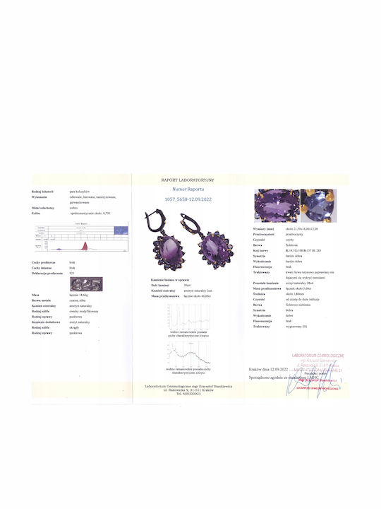 925 Earrings 46ct Amethysts Zoisites 2 Certificates
