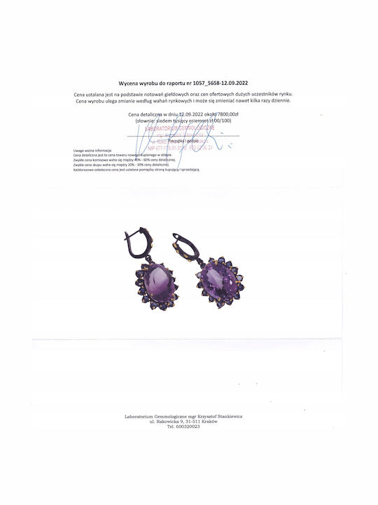 925 Ringe 46ct Amethyst Zoisite 2 Zertifikate