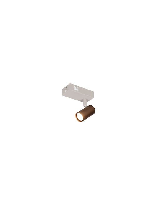 Trio Lighting Single Ceiling & Wall Spot in Brown Colour
