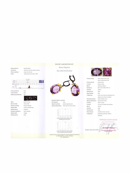 Artistic Amethyst Sapphire Earrings Certificate 3