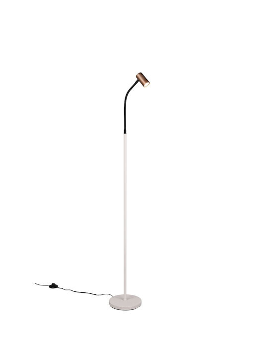Trio Lighting Floor Lamp Brown