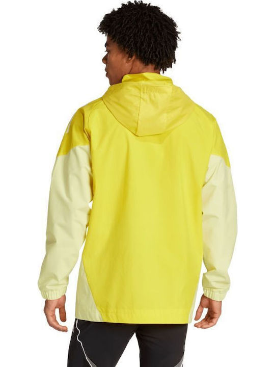 Jacket Мъжко Яке Жълто