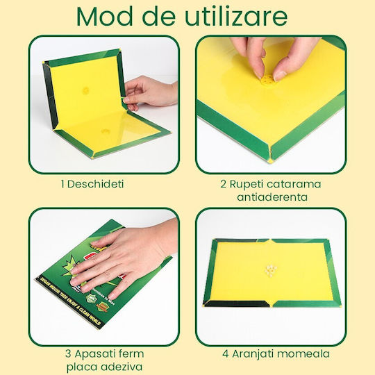 Alista Home Glue Trap 19x13cm 163289