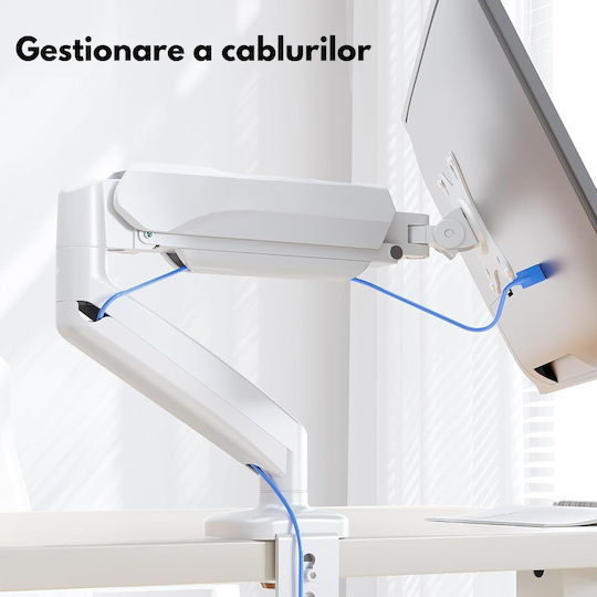 Bază de Birou pentru Monitor până la 32" cu Braț Albă