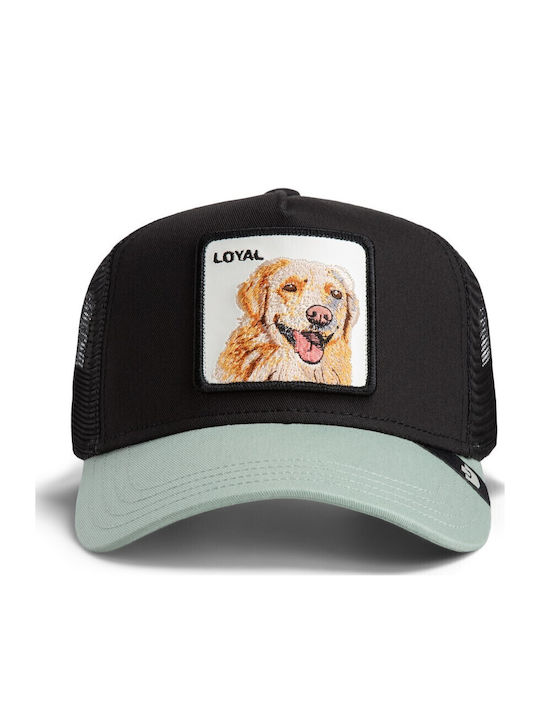 Jockey Loyal Dog Hund Schwarz-menta Goorin Bros