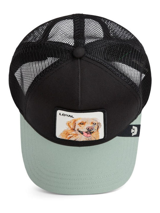Jockey Loyal Dog Hund Schwarz-menta Goorin Bros