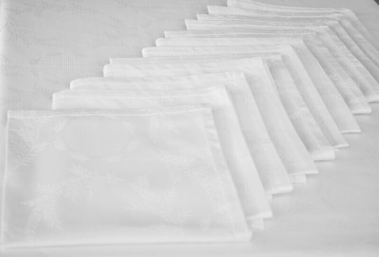 Dining Tablecloth Set 160x250 12 Dining Napkins