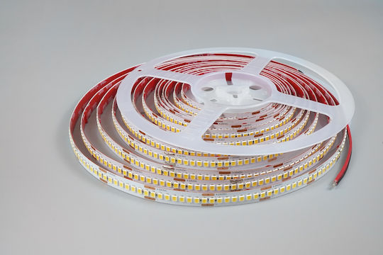 Modee Lighting LED-Streifen 24V Natürliches Weiß Licht 5m