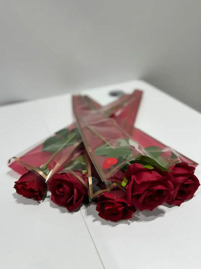Ein Eindrucksvolles Langes Rote Rose