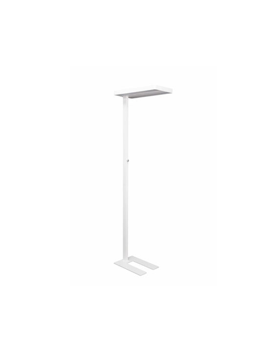Maul Lampadare De Podea LED Albă