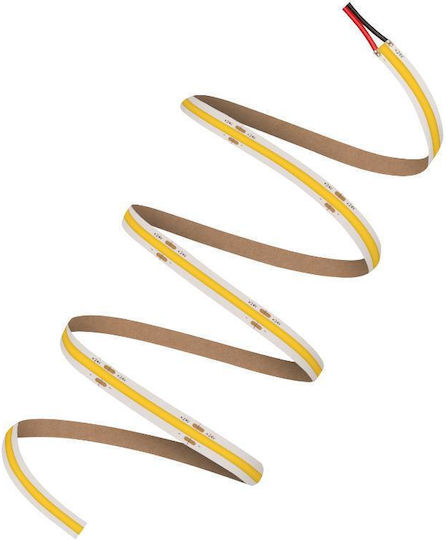 Tape Led Ls Pfm 1000 Cob 940 5 38w 4000k 4058075597549 Ledvance 4058075597549
