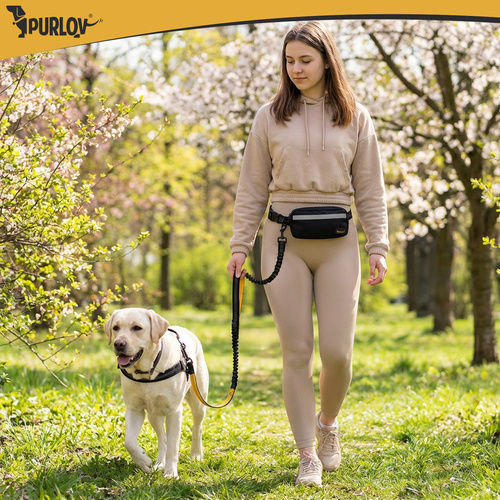 Purlov Dog Leash Lead Training Strap In Beige Colour 2m Up To 50kg