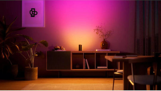 Philips Smart Decorative Lighting Hue Play 15.7x9.1x7.6 cm