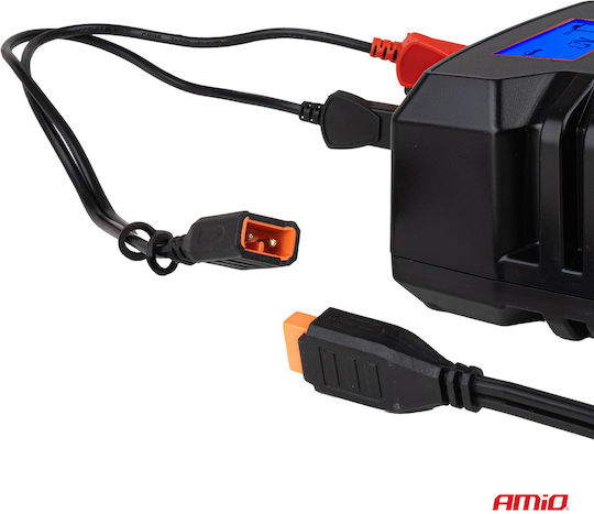 AMiO Pro Hook Зарядно за автомобилна батерия 6/12V