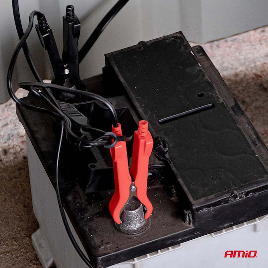 AMiO Pro Hook Φορτιστής Μπαταρίας Αυτοκινήτου 6/12V