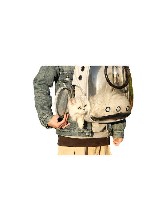 Animal 42εκ.