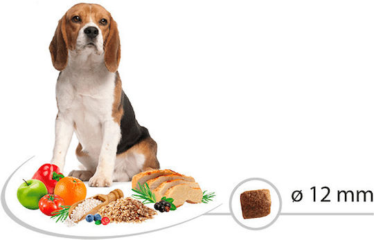 Picart Select Adult Light-Sterilized 3kg Dry Food for Adult Neutered Medium Breed Dogs with Chicken and Rice