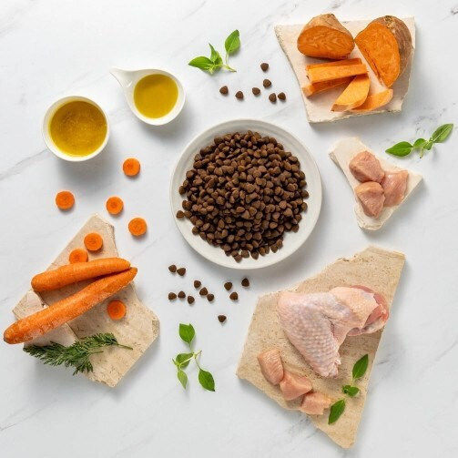 2kg Dry Food Grain-Free & Gluten-Free for Adult Medium & Large Breed Dogs with Turkey