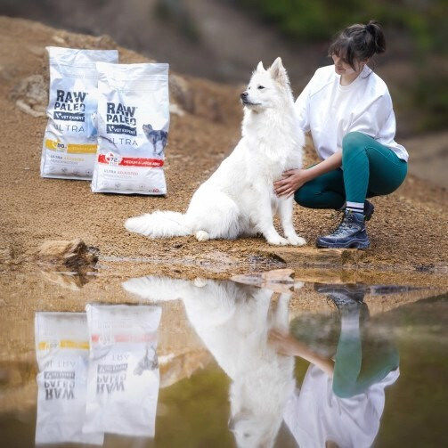 2kg Dry Food Grain-Free & Gluten-Free for Adult Medium & Large Breed Dogs with Turkey