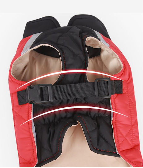 Red Dog Coat with 50cm Back Length