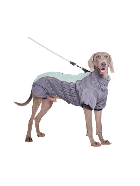 Wasserdichter Hundemantel Hellblau 68cm