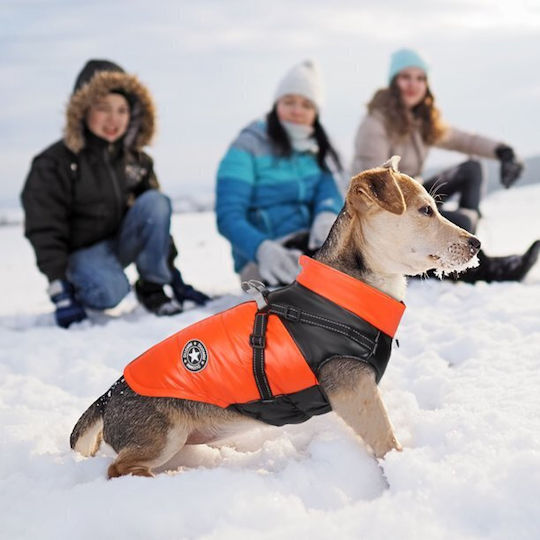 Animal Black Waterproof Dog Coat with 25cm Back Length