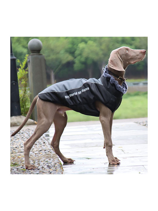 Animal Hundemantel Gray mit Rückenlänge 52 cm.