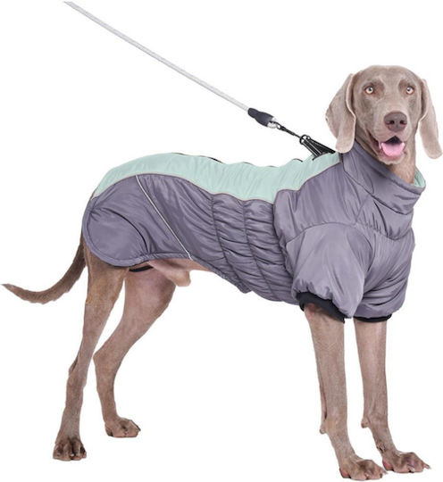 Wasserdichter Hundemantel Hellblau 43cm