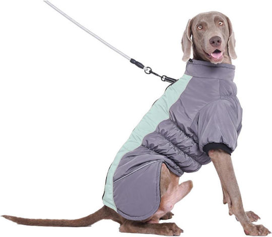 Wasserdichter Hundemantel Hellblau 43cm