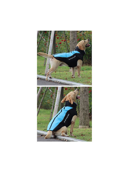 Animal Blue Dog Coat with 42cm Back Length