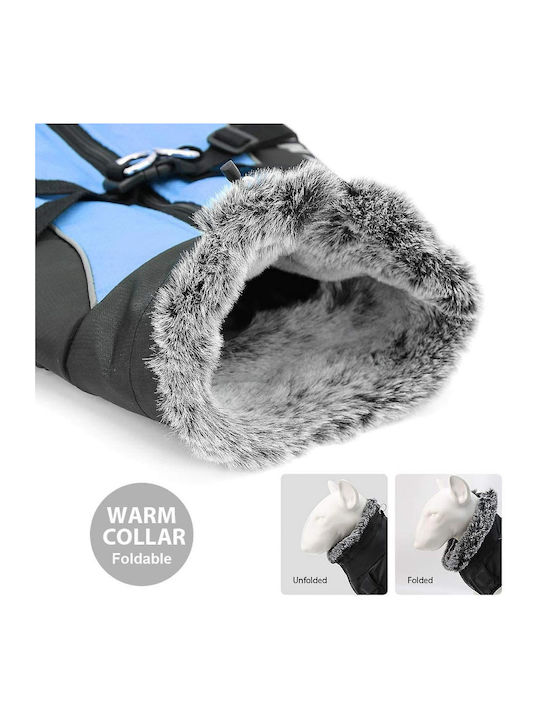 Animal Blue Dog Coat with 42cm Back Length