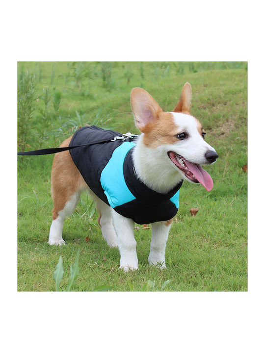 Animal Blue Dog Coat with 52cm Back Length